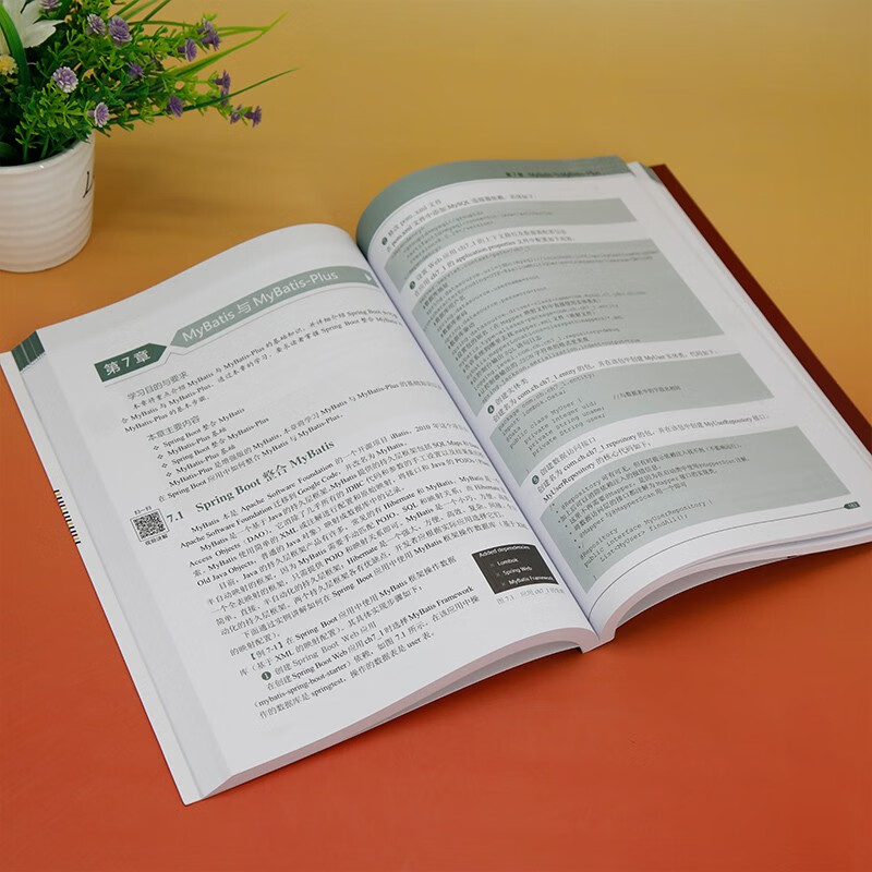 Spring Boot + Vue.js full-stack development from entry to practice (IntelliJ IDEA version micro course