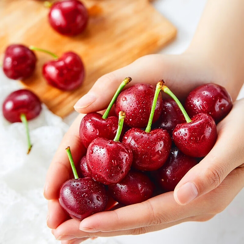 Jingxiansheng Chilean Cherries J Grade 5kg Gift Box with Fruit Diameter 26mm + Fresh Fruit Straight from the Source