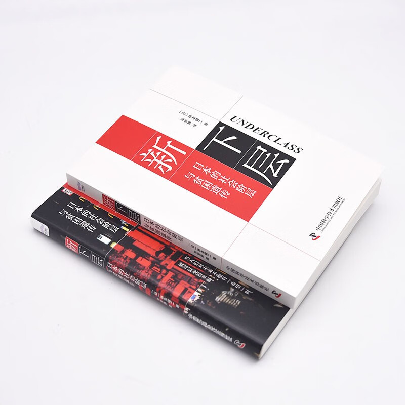 The New Lower Class: Social Class and the Inheritance of Poverty in Japan