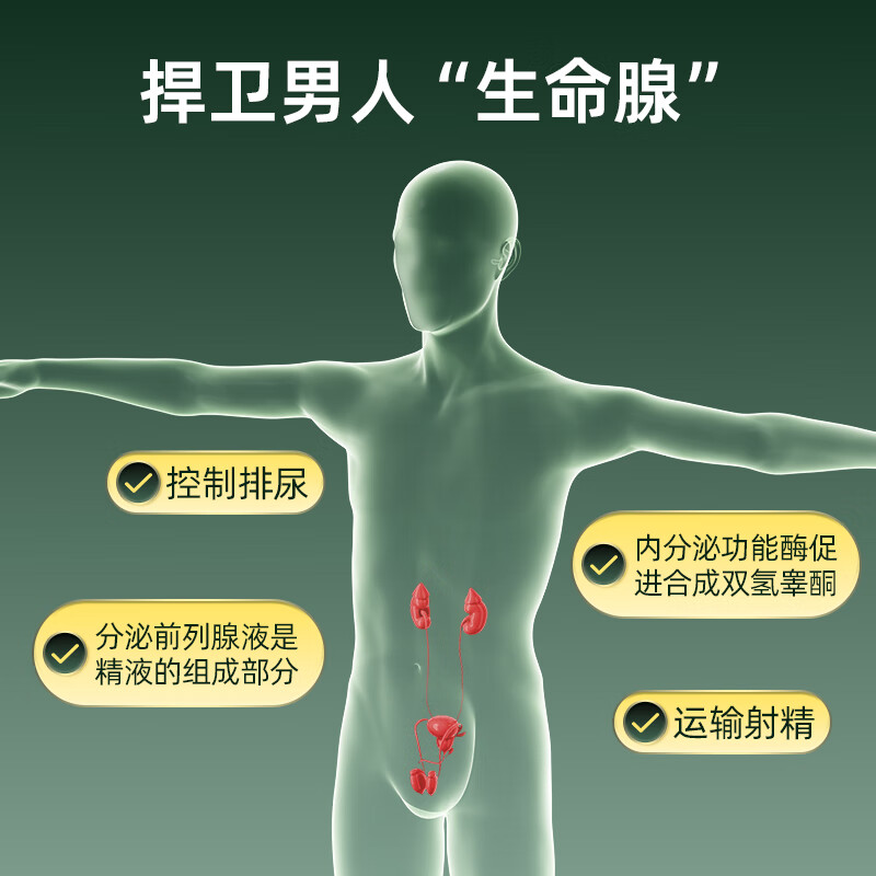 NATURE S ANSWER SINCE 1972 Saw Palmetto Prostate Capsules 120 capsules * 2 bottles of Frequent Urination and Urinary Urgency Care for Men's Health High Content 460mg Imported