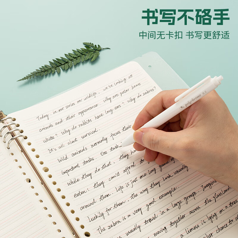 M&G stationery B5/60 sheets of English notebook loose-leaf notebook notepad 8-hole detachable junior high school English homework book students must start school HB5656F-ZZ
