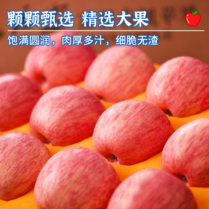 Jingdida Apple Yantai Apple Qixia Red Fuji Apple Fresh Fruit New Year's Goods 4.5 Jin Single Fruit 75mm + Straight from the Source