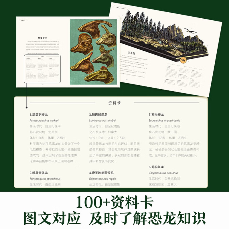 Miracle Museum Series Dinosaur Museum Fun 7-year-old + Children's Popular Science Encyclopedia Dinosaur Book Primary School Students Extracurricular Reading Book