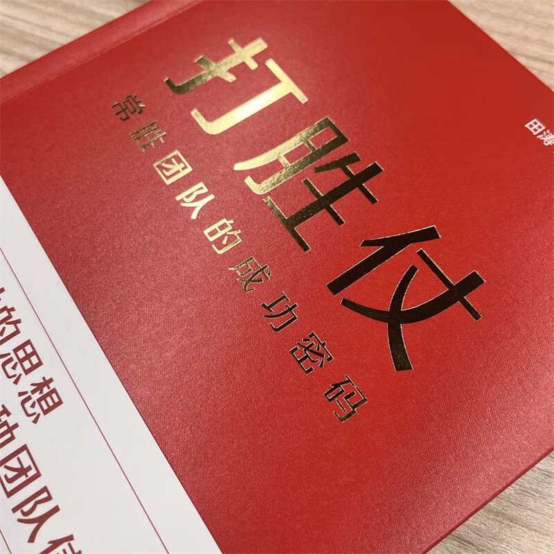 Winning the Battle: The Success Code of a Winning Team Paperback Edition