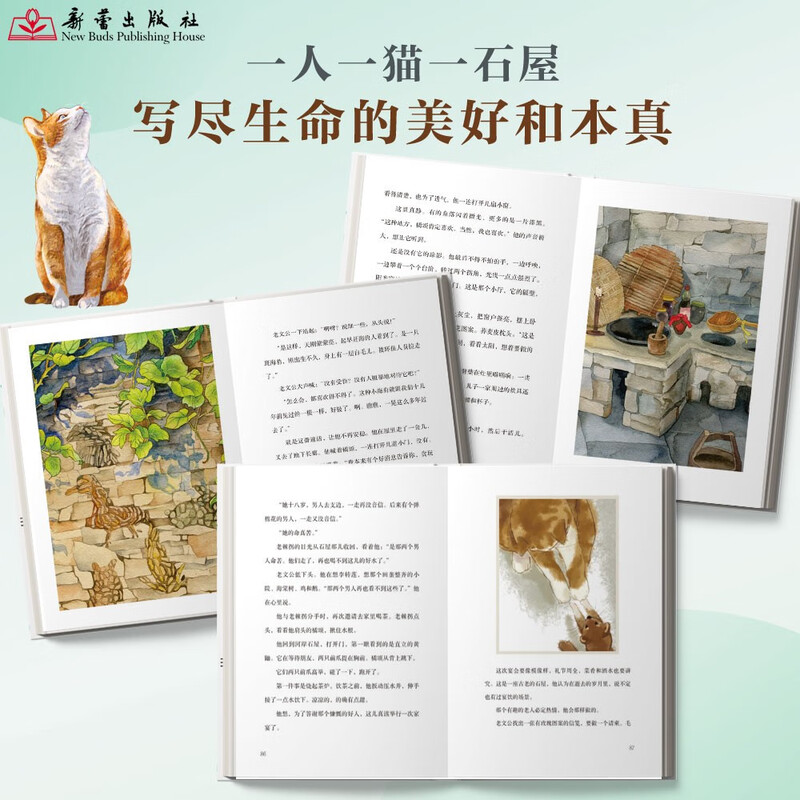 Ode to Orange highly recommended by Yu Minhong, a stunning work by Mao Prize winner Zhang Wei, which describes the profound meaning of life and is an excellent example of literary writing. Recommended for 9-99 years old. Extracurricular reading. Reading. Extracurricular books. Winter vacation homework. Winter vacation transition from 1st to 2nd grade. Winter vacation transition from primary school to junior high school.