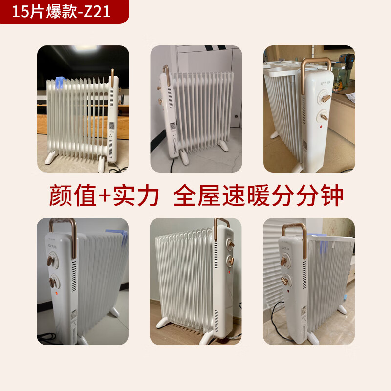 Pioneer (SINGFUN) graphene electric oil heater electric heater electric radiator household 15-piece whole house heating intelligent constant temperature low noise energy-saving drying and humidification DYT-Z21