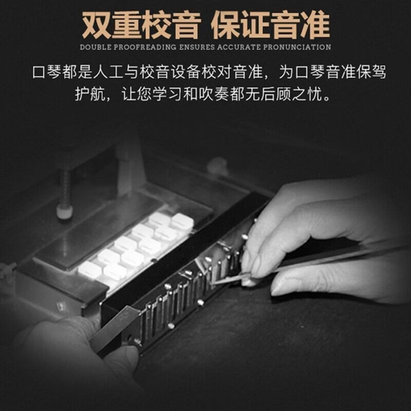 Guoguang imported gongs 24 holes 28 holes harmonica professional playing polyphonic accented C key for beginners entry-level gift set 24 holes black accented C key performance-grade sound quality