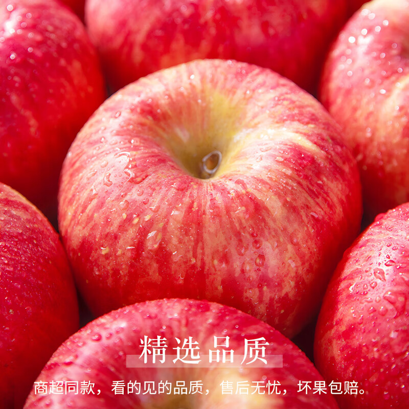 Jingdida Apple Yantai Apple Qixia Red Fuji Apple Fresh Fruit New Year's Goods 4.5 Jin Single Fruit 75mm + Straight from the Source