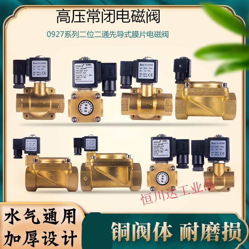 4 minutes 0927000 Normally closed air compressor pilot solenoid valve 16KG high pressure water valve air valve water cannon 220V24V 6 minutes 220V