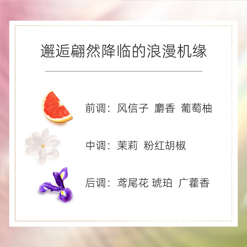 Chanel Encounter Tender Eau De Toilette (Spray) 50ml Gift Box Powder Bottle Powder Encounter New Year Gift for Girlfriend or Wife