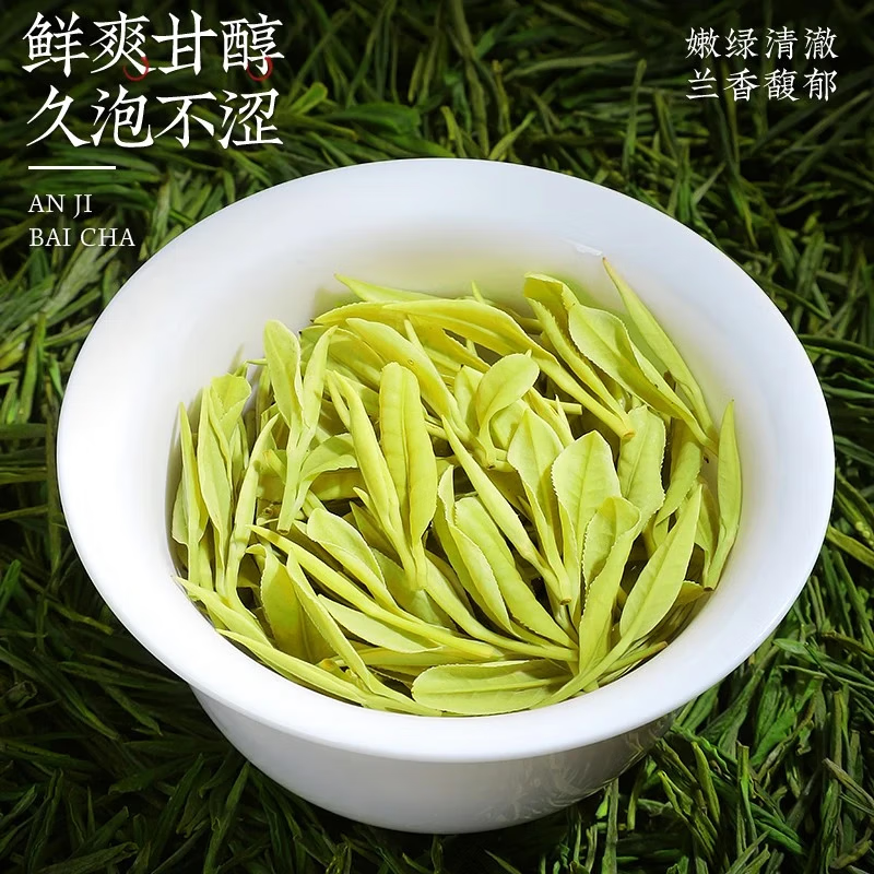 Chen Yifan rare white tea tea green tea Anji Baiye No. 1 tea tree fresh leaves and buds rare white tea 2 cans total 100g
