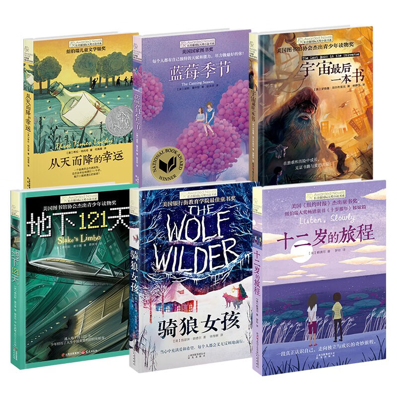 The 6-volume second volume of the second volume of the Ivy International Award-winning novels: The Journey of Twelve Years Old, 121 Days Underground, Falling from the Sky, etc. Must-reads for primary and secondary school students in grades 3, 4, 5, and 6. Extracurricular reading of International Children’s Literature Award classics that influence children’s lives.