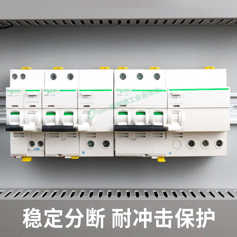 Schneider leakage protection circuit breaker IC65N/a9/1p+n/2/3/4p air switch/20/40/63/a 1P+N 10A
