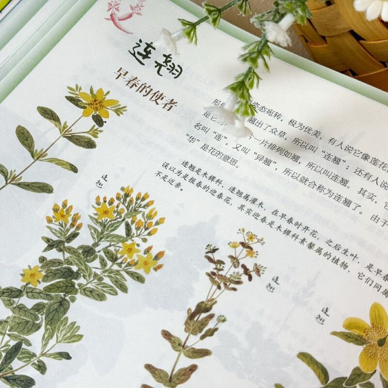 Youngsters read classics! Compendium of Materia Medica Winter Vacation Book List