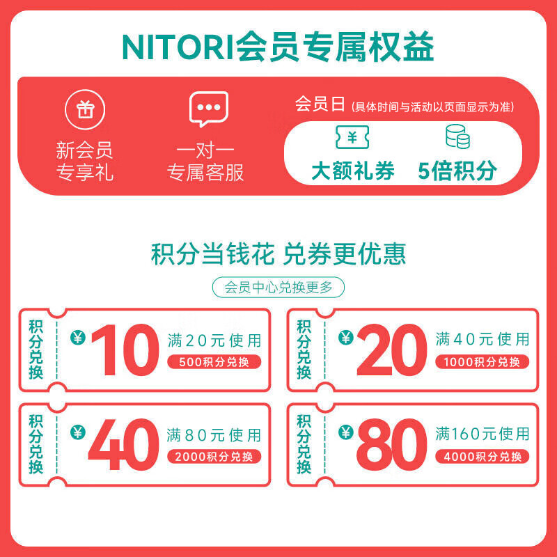 NITORI Yideli Home Vegetable Dehydrator Fruit Dryer Salad Wash Basin Kitchen Drain Basket Dehydrator White