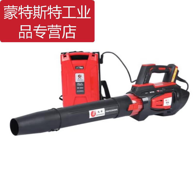 -BT56 lithium hair dryer blows snow in the greenhouse, fire fighting, blows fallen leaves and dust on the road, one charge and one charger.
