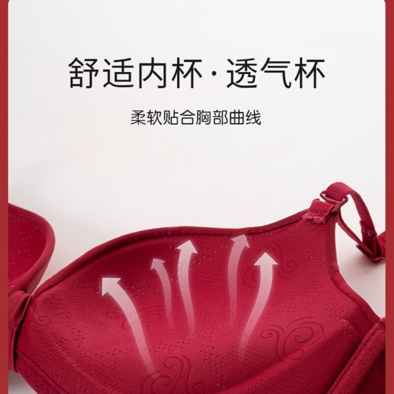 Maohuo Thin Year of the Horse Underwear Without Wires Push-Up Small Breasts Wedding Year of the Year Red Bra Set Valentine's Day Gift for Women Red Gift Box 75B =34B