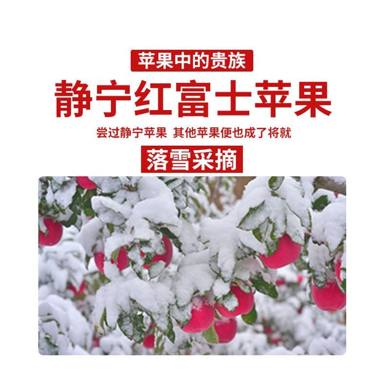 Jingning Apple SF Home Gansu Red Fuji Apple Fruit Fresh Seasonal Jingning Apple 10-12 Pieces 90-100mm Net Weight 8 Jin Strictly Selected Pack
