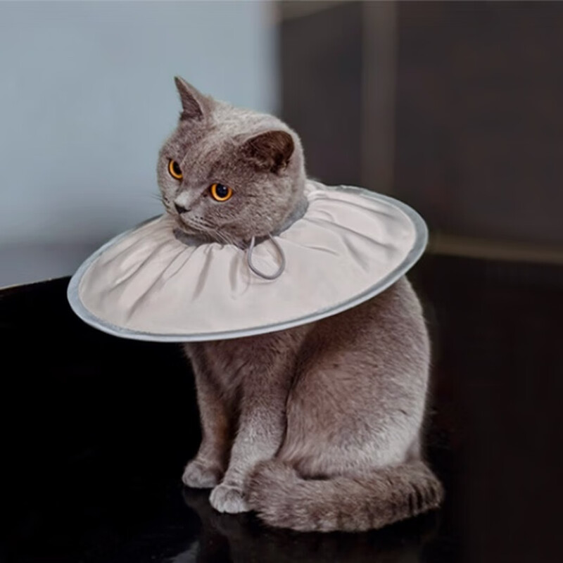 Tangqi pet Elizabethan sterilization care collar cat and dog grooming collar anti-licking and biting small dog headgear Coco milk L (suitable for 10-15 pounds)