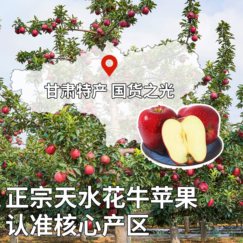 Mu Xiaoqi Fruits and Vegetables Gansu Tianshui Huaniu Noodles Apples Next Day Delivery to Multiple Places Snake Fruit Gift Box New Year Gift Box A+ Grade Quality Fruit (Single Fruit Approximately 70-75mm) 5kg Pack 80% Selection - Super Cost-effective Net 4.5kg*