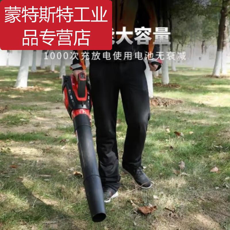 -BT56 lithium hair dryer blows snow in the greenhouse, fire fighting, blows fallen leaves and dust on the road, one charge and one charger.