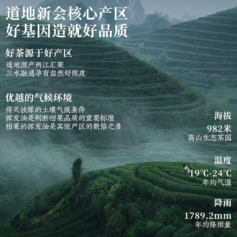 Jiuzhou Chunxinhui original dried tangerine peel 18-year-old sun-dried tangerine peel tea dry brewed tea collection canned 500g medicated soup