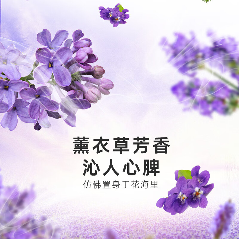 Clean and bright sterilizing laundry detergent, lavender with long-lasting fragrance, strong cleaning of stubborn stains, smooth and clean, affordable household package 2.6kg 2.6kg large package sterilizing washing powder * 1 bag