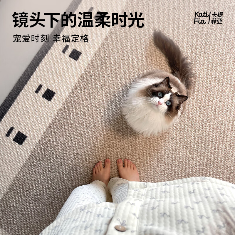 Cartifiya carpet living room imported wool non-slip light luxury high-end sofa bedroom blanket Yinshan-wool 2*3 meters