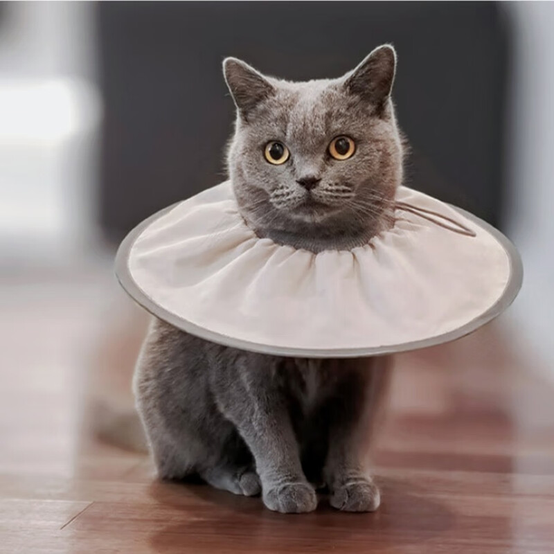 Tangqi pet Elizabethan sterilization care collar cat and dog grooming collar anti-licking and biting small dog headgear Coco milk L (suitable for 10-15 pounds)