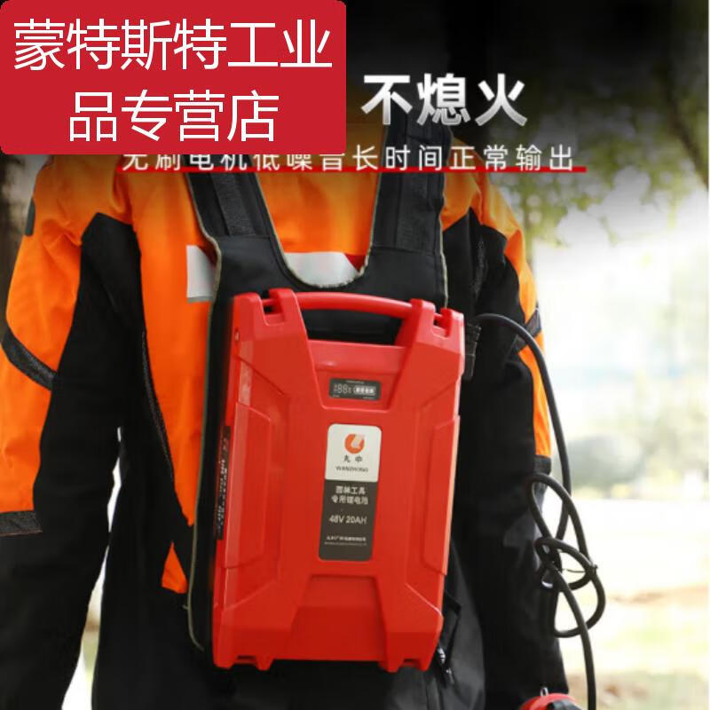 -BT56 lithium hair dryer blows snow in the greenhouse, fire fighting, blows fallen leaves and dust on the road, one charge and one charger.