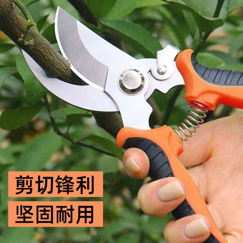 Factory No. 1 7-inch gardening scissors, fruit branch scissors, garden pruning scissors, household pruning scissors, fruit branch scissors orange