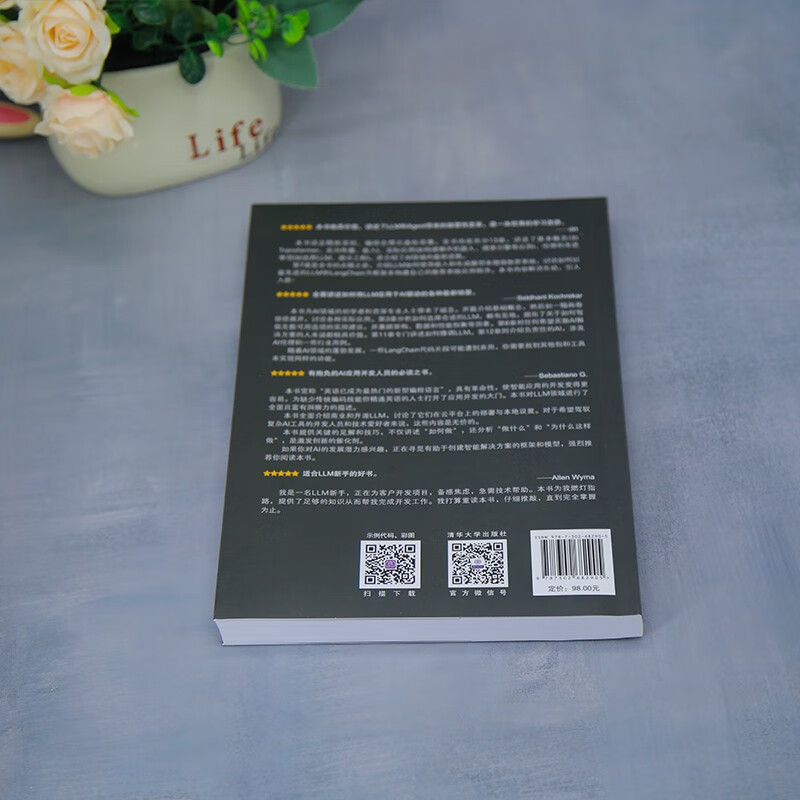 Large model Agent application development