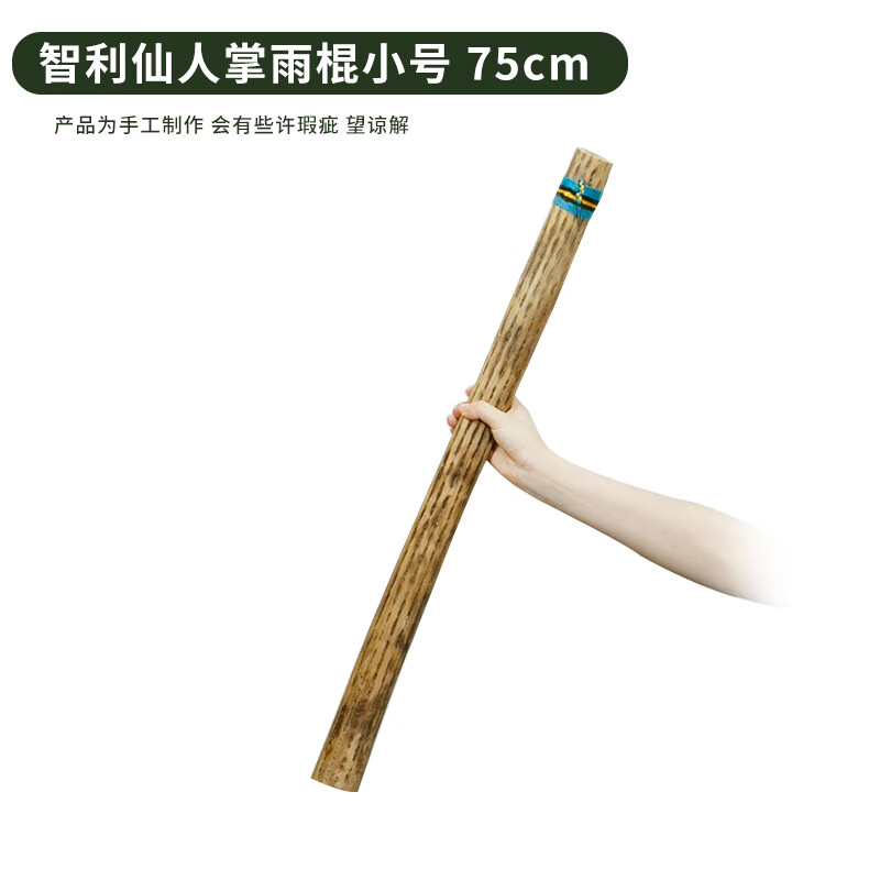 Fanmu Guo & De Rui Healing Rain Stick South America Chile De Rui Cactus Rain Sounder Rain Sound Tube Ethnic Minority Instrument De Rui Fine Style D=3-5cm L=50cm