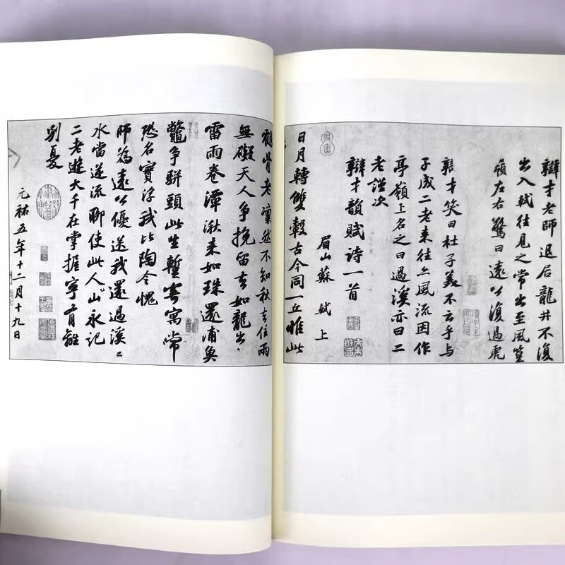 Appreciation of Su Shi's calligraphy classics Appreciation of calligraphy by famous Chinese masters of all dynasties Su Shi's complete calligraphy collection of Su Dongpo's calligraphy collection Calligraphy techniques tutorial calligraphy authentic works