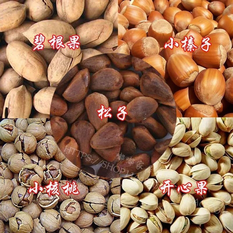 Huaixi hazelnut clips, hickory pliers, pine nut openers, dried fruit factory price, pecan nuts, pistachios, small walnuts, single pine nut clips