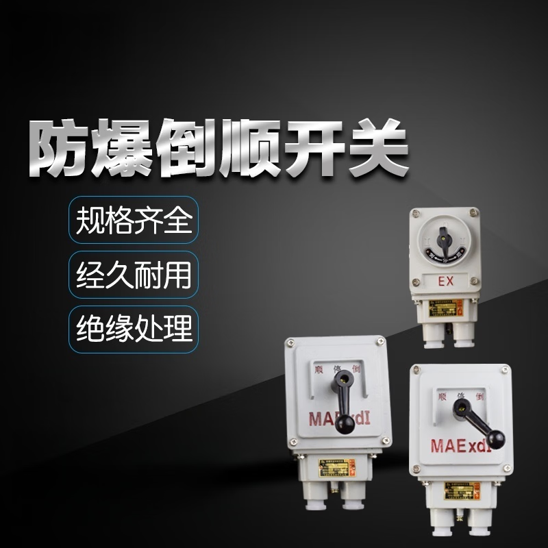 Explosion-proof reverse switch Explosion-proof conversion reverse switch reversal switch 10A 30A 60A motor reversal switch 10A