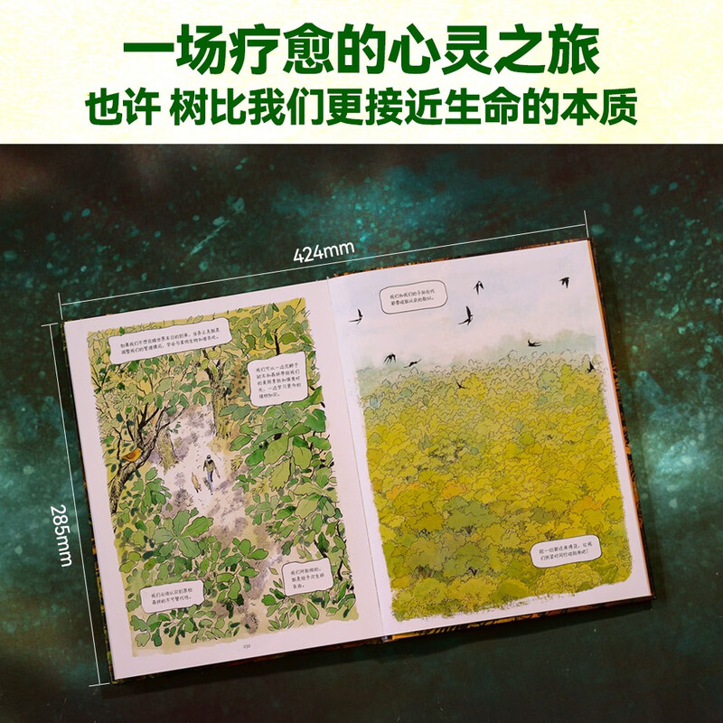 The Secret Life of Trees (The book comes with observation notes, taking you into the magical world of tree language! This book uses childlike language and exquisite illustrations to reveal the mysteries of trees for children and cultivate their love for nature and their spirit of exploration) A must-read popular science book for children