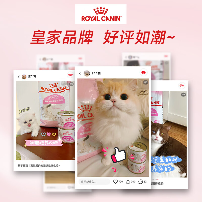 Royal kitten food, kitten mousse milk cake, canned milk cake during the weaning period, imported cat snacks, canned wet food, new customers trying it out, canned milk cake during the weaning period from January to April 85g*6