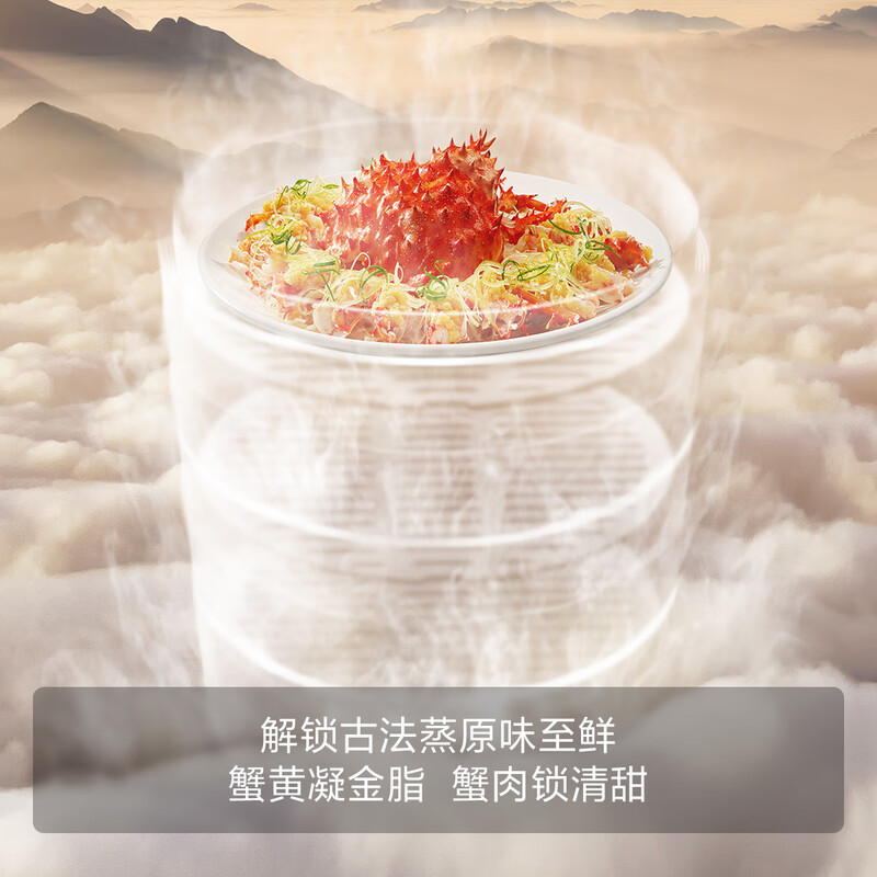 FOTILE Embedded Steam Oven E5S Steaming, Roasting, Stewing and Frying* 4-in-1 Skim Frying Extra Large Steam Intelligent Control Uniform Temperature and Quick Heat