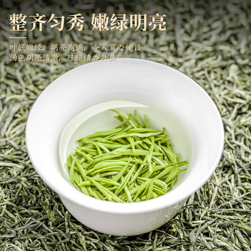 Tianzhouxi Green Tea Xinyang Maojian 250g2025 new tea sprouts spring tea tea gift box for leaders, elders and elderly people