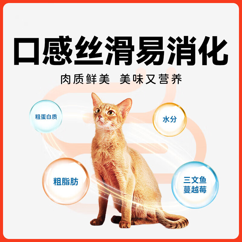 Wanpy Fruit Cat Strips 1200g Cat Snacks Salmon Flavor 100 Count New and old packaging shipped randomly