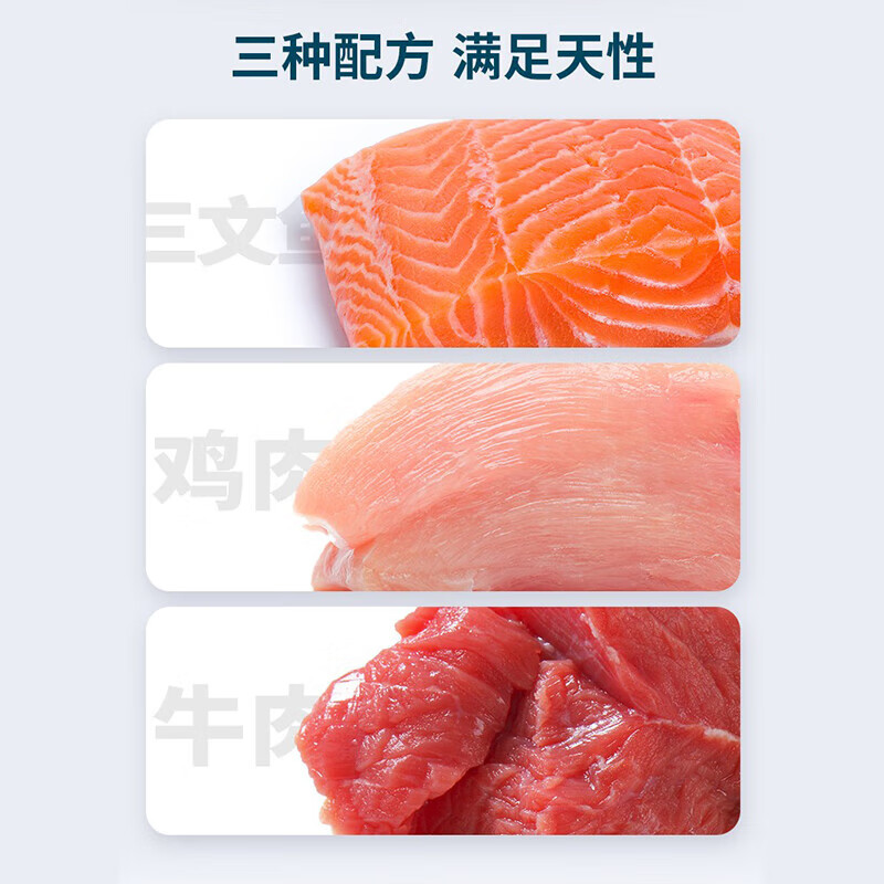 鲜朗主食罐猫咪营养幼猫成猫主粮全价湿粮猫罐头100g*6罐