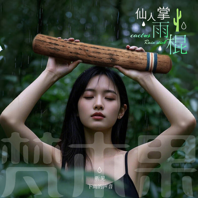 Fanmu Guo & De Rui Healing Rain Stick South America Chile De Rui Cactus Rain Maker Rain Sound Tube Ethnic Minor Instruments Fan Mu Guo Selected Thick Style D=5-8cm (Recommended) L=75cm