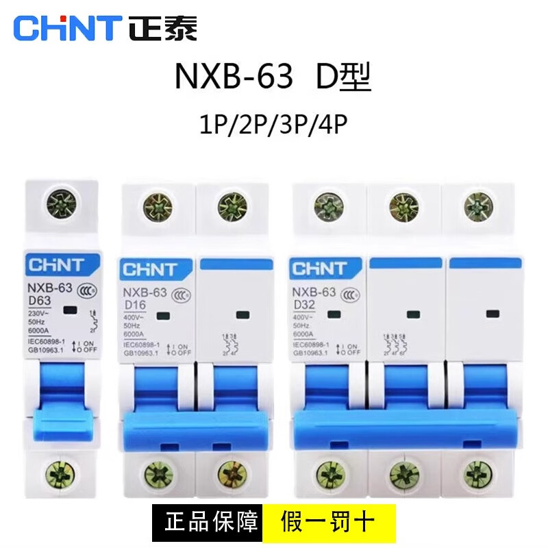 Chint (CHNT) D type air switch motor power protection industrial circuit breaker NXB-63 2P D40A rated current 220V voltage