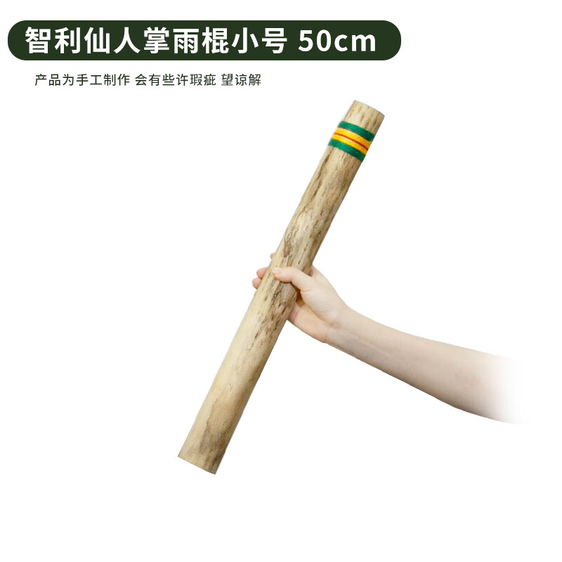 Fanmu Guo & De Rui Healing Rain Stick South America Chile De Rui Cactus Rain Sounder Rain Sound Tube Ethnic Minority Instrument De Rui Fine Style D=3-5cm L=50cm