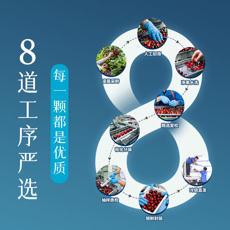 Longqiancai imported large cherries from Chile, 4J grade 5kg, optional, next-day delivery to multiple places, fresh fruit gift box, original box 2.5kg, JJ grade large fruit, diameter 28-30mm