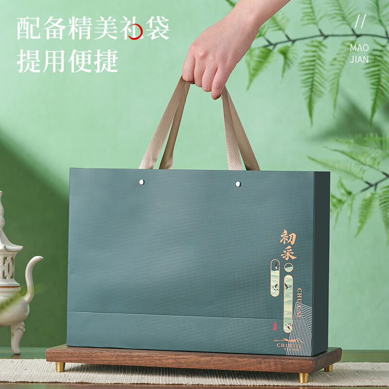 Tianzhouxi Green Tea Xinyang Maojian 250g2025 new tea sprouts spring tea tea gift box for leaders, elders and elderly people