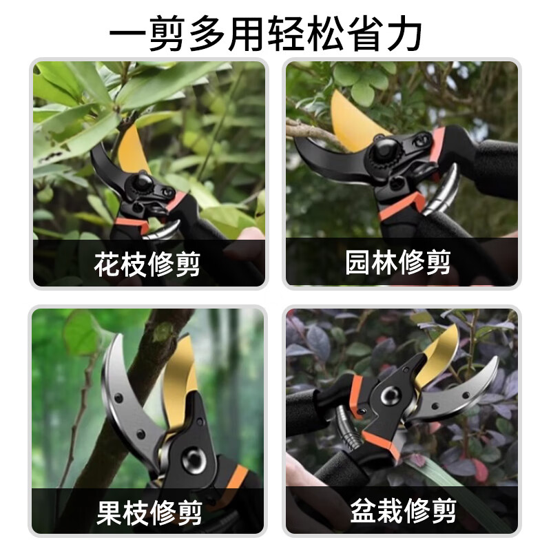 No. 1 Factory Gardening Shears, Pruning Shears, Powerful Thick Branch Shears, Special Pruning Tools for Fruit Trees and Bonsai, Golden Eagle Beak Hand Guard