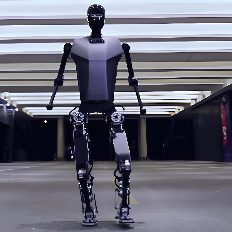 Miss Dolphin Education and Scientific Research Humanoid Robot Nanny Artificial Intelligence Teaching AI Conversation College Experimental Exhibition Hall Scenic Area Guide Commercial Performance Hotel Service Industry Explanation Robot Action Choreography and Performance Intelligent Robot AI Artificial Intelligence Scientific Research Robot