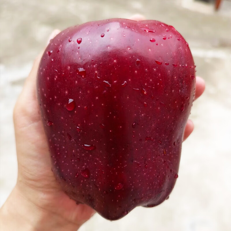 Jingxiansheng Tianshui Huaniu Apple 2kg, single fruit 170g+, fresh fruit straight from the source